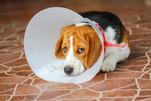 shutterstock_281382974.jpg