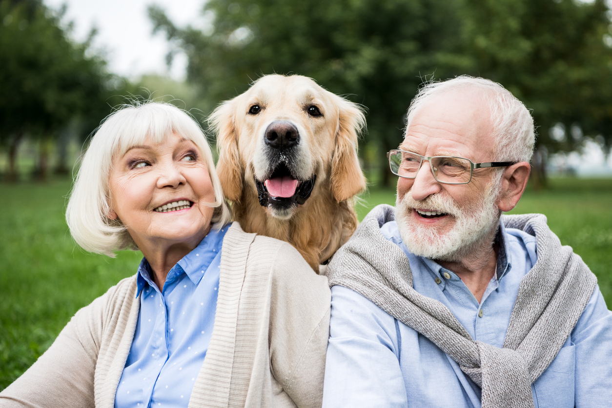 iStock-1151872224.jpg