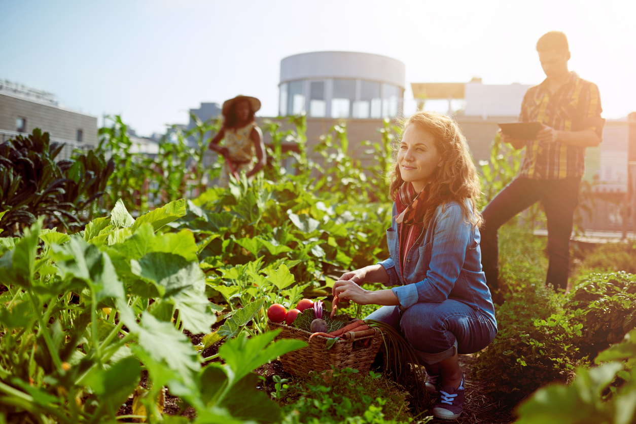 iStock-646190406.jpg