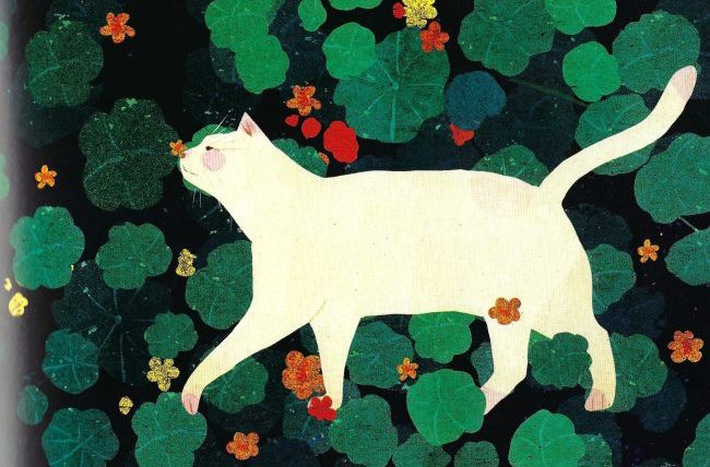 Cat-Image-fixed-e1776591645852.jpg