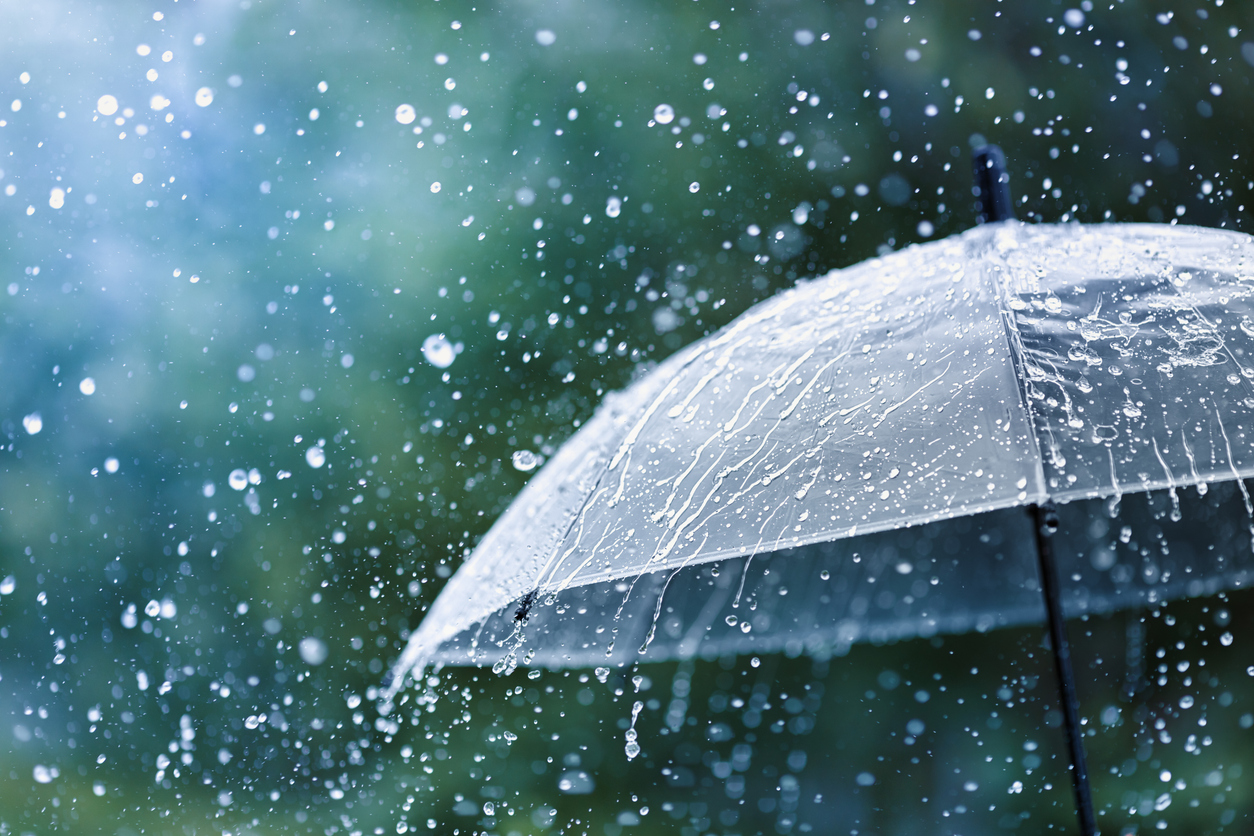 iStock-1257951336.jpg