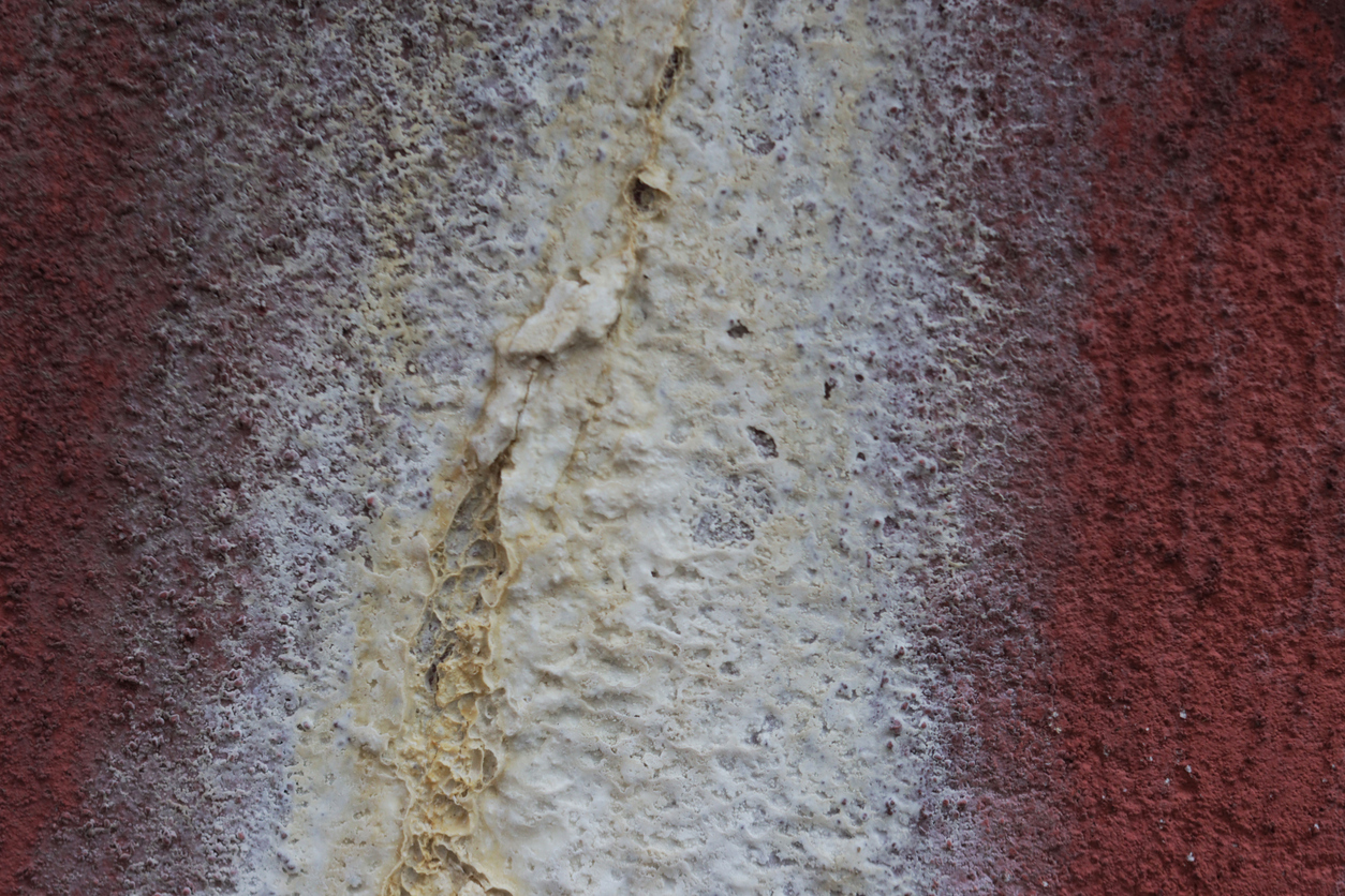 iStock-2285462957.jpg