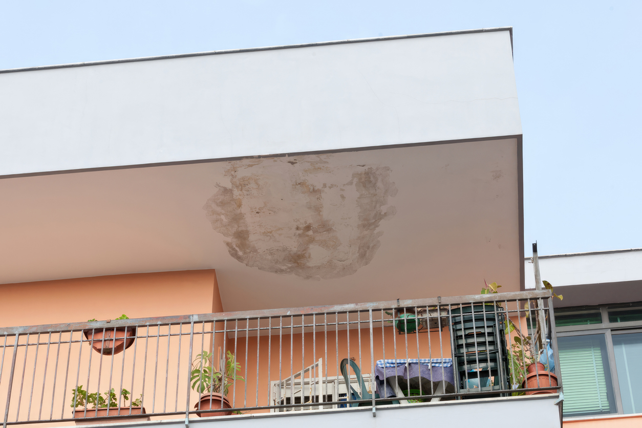 iStock-2173292890.jpg